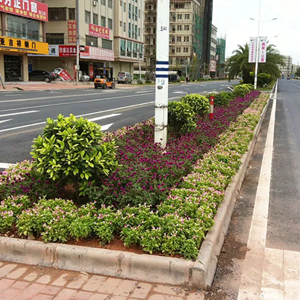 五一大道