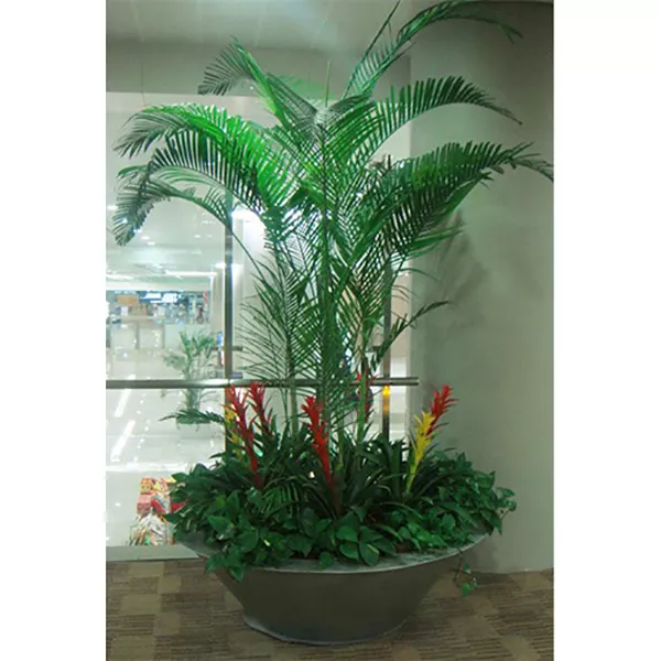 办公室植被