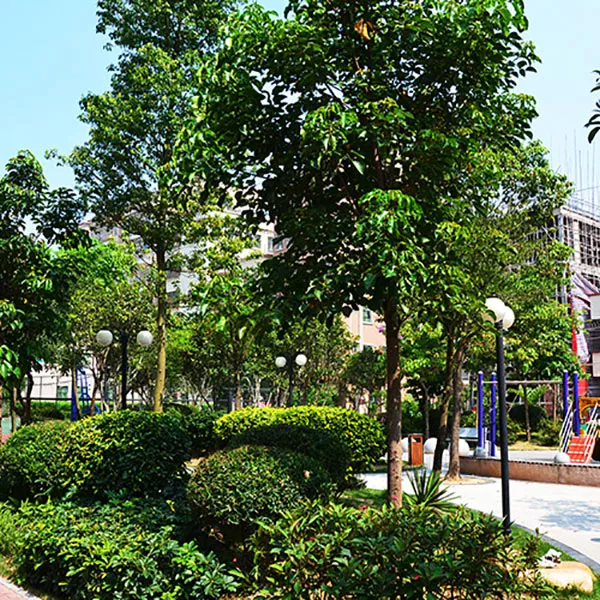 学佬坝公园